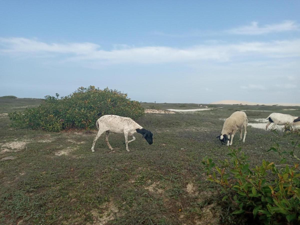 Hotel Portadosoljeri Jijoca de Jericoacoara Zewnętrze zdjęcie