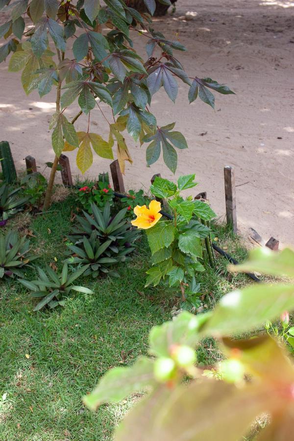 Hotel Portadosoljeri Jijoca de Jericoacoara Zewnętrze zdjęcie